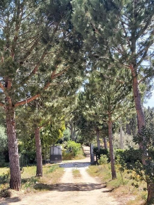 Casa Vale Nicolau Villa Arganil Eksteriør bilde